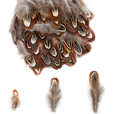 Stripe Feathers